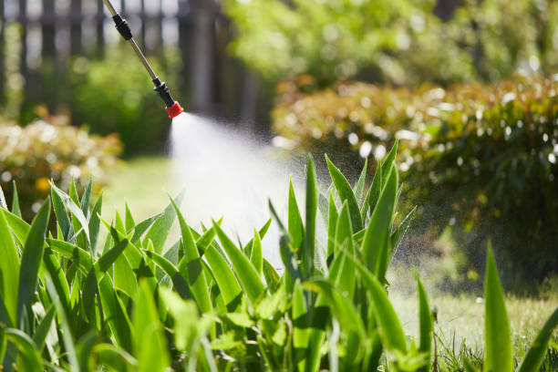 24/7 Emergency Wasp Removal experts in St. Charles, MI