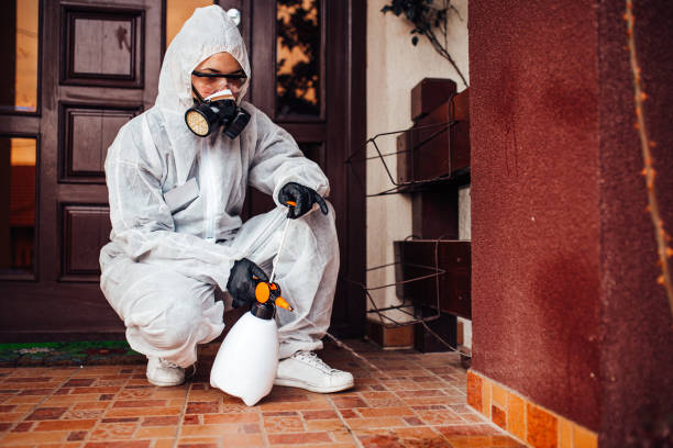Reliable Wasp Removal contractor in St. Charles, MI by Show Me Pest Control